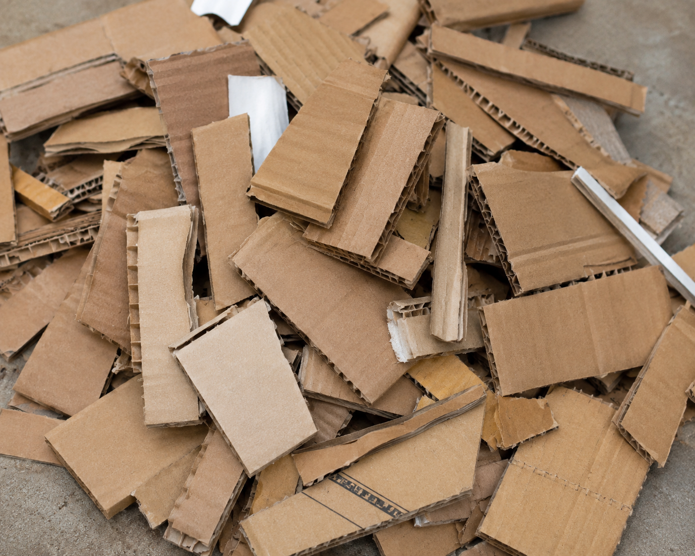 Kabadi wala collecting scrap in Panchkula